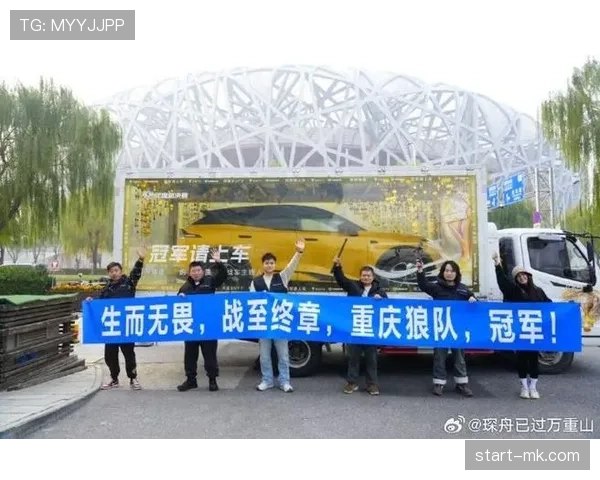 狼队战术解析：团队协作优势持续凸显，赛场表现亮眼